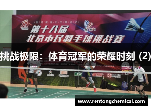 挑战极限：体育冠军的荣耀时刻 (2)